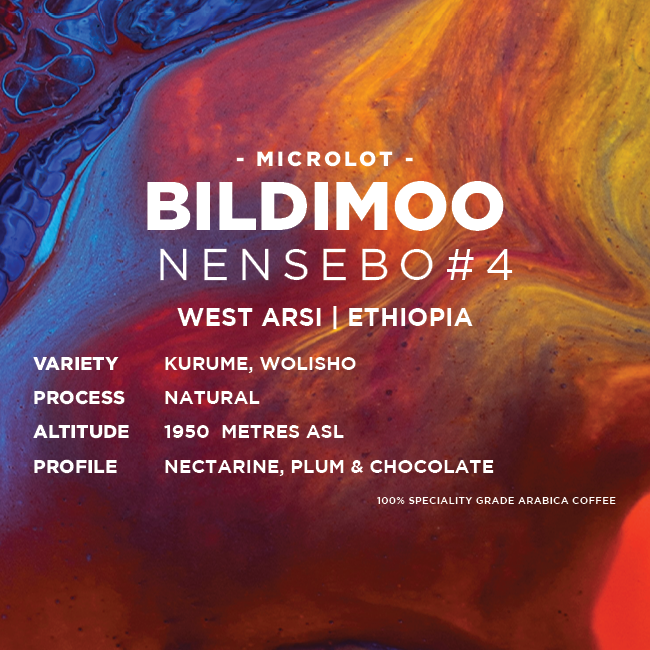 Ethiopia: Bildimoo